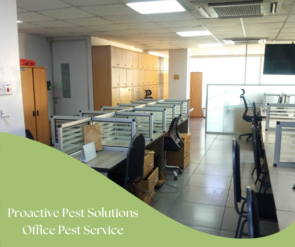 Proactive Pest Solutions - Office Pest Control Needs