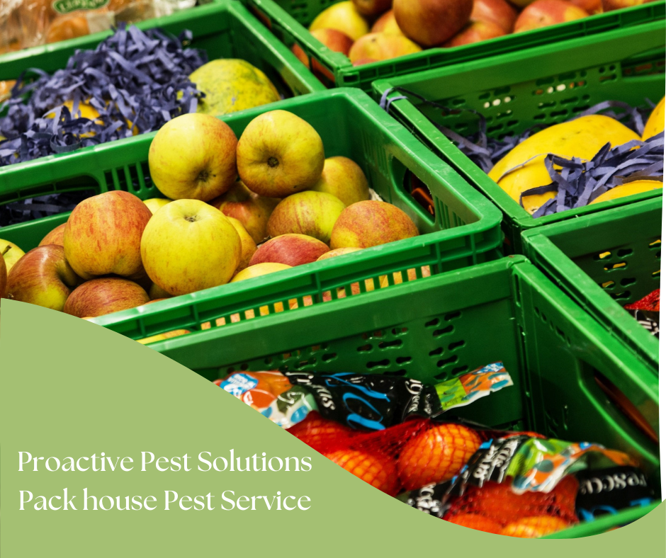 Proactive Pest Solutions - Pack House Pest Control