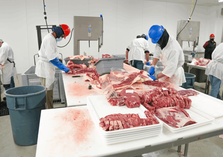 Food Factory Pest Service